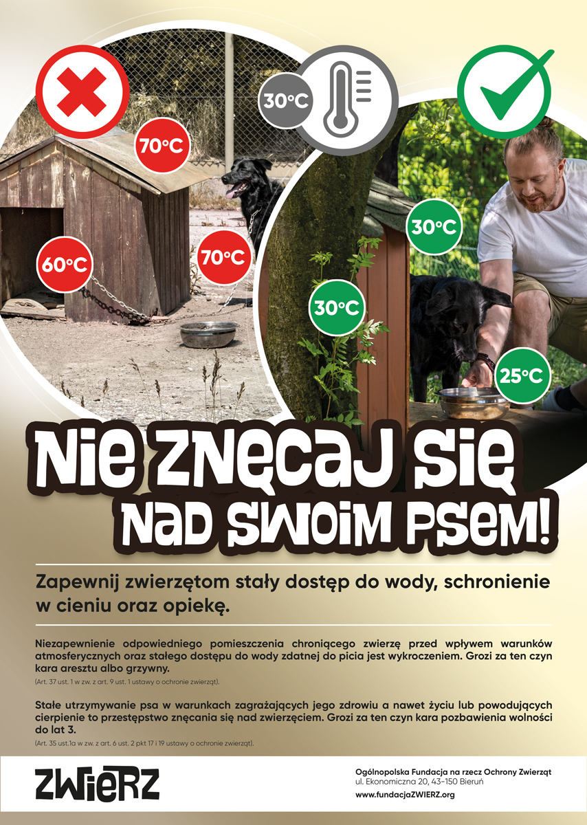 ZWIERZ akcja lato plakat 1 A3 podglad